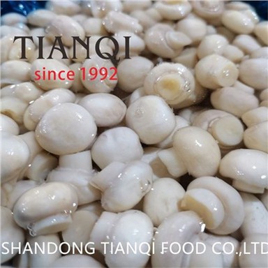 Muisiriún Champignon Saothraithe i Sáile i nDroimeanna