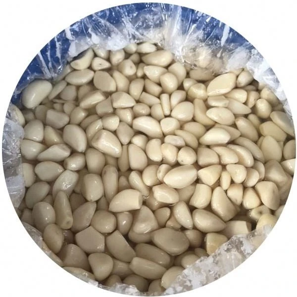 Normal white garlic in salted water factory