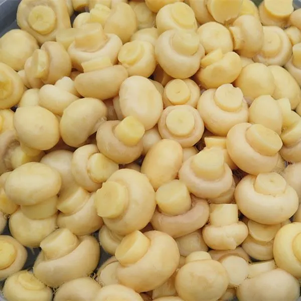 Muisiriún Caomhnaithe sna Droimeanna