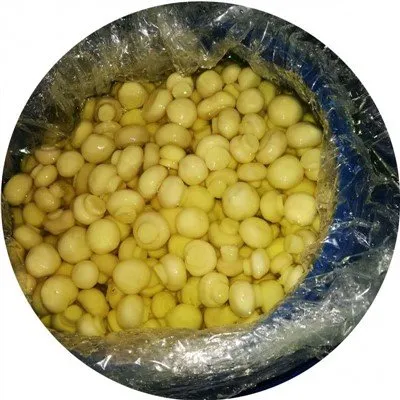 45 KG Muisiriún Iomlán i Sáile