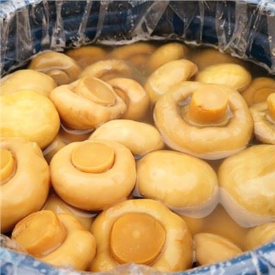 Barraí Nua Muisiriún Úr i Sáile