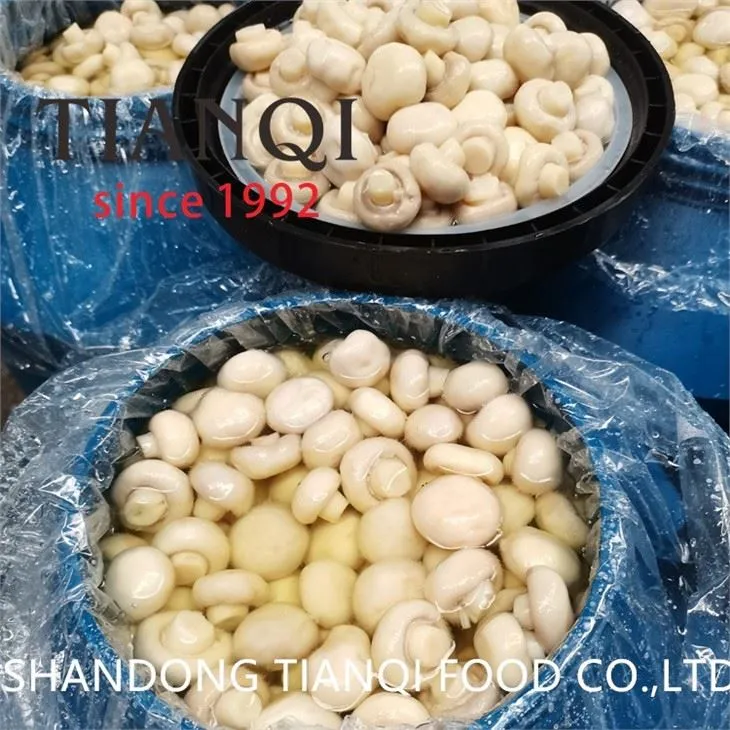 Muisiriún Orgánach Champignon i Slice Muisiriún Sáile