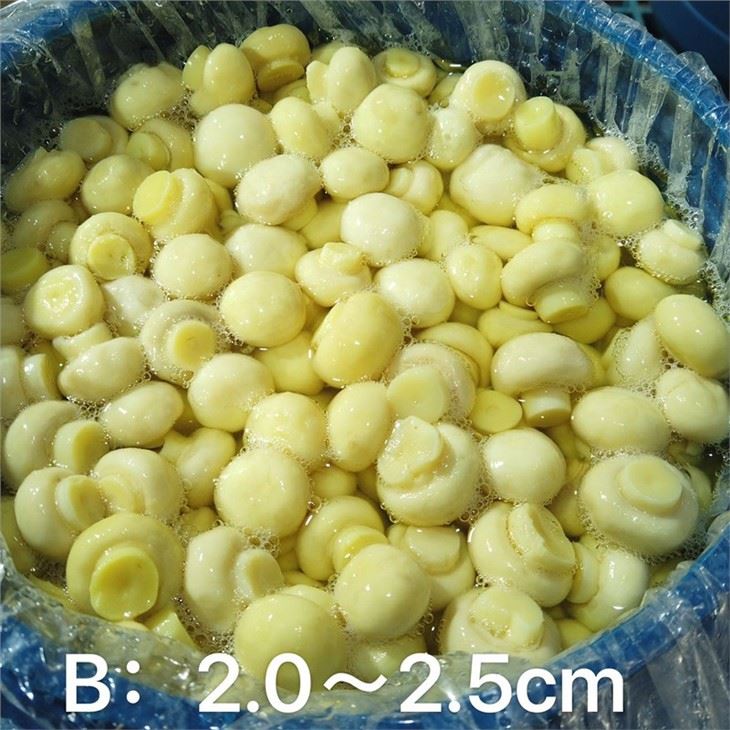 Salted Mushroom Slices in Big Drums