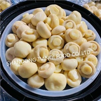 Beacáin Button Úr i Drumaí